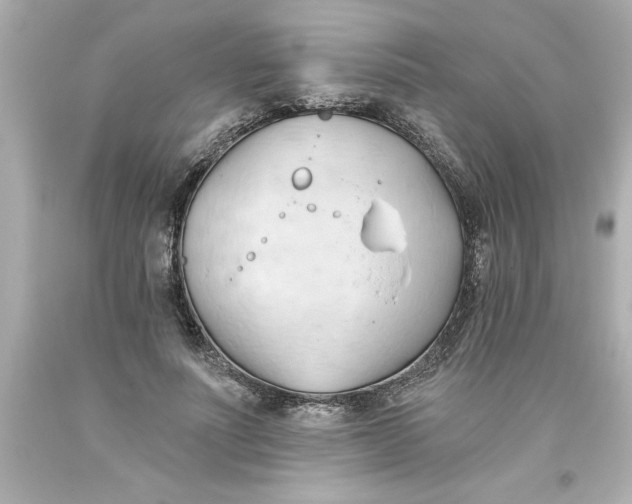 X0000093380691200711011250