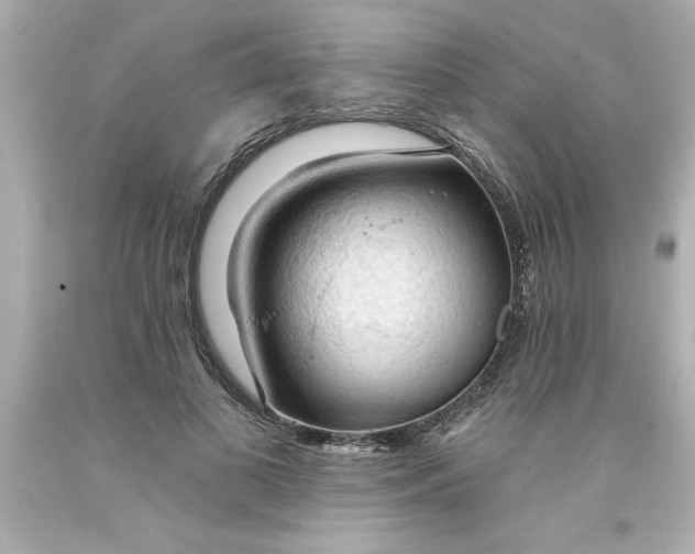 X0000093380693200711011250