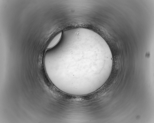 X0000093380695200711011250