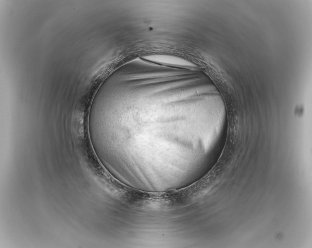 X0000093380696200711011250