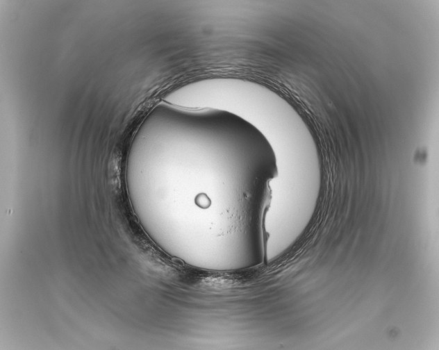 X0000093380699200711011250