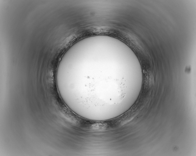 X0000093380700200711011250