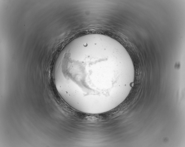 X0000093380703200711011250