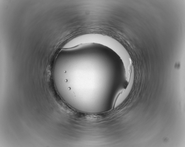 X0000093380707200711011250