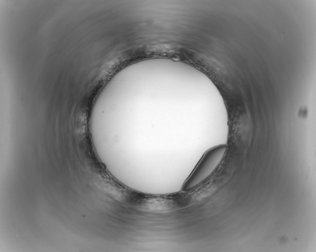 X0000093380708200711011250