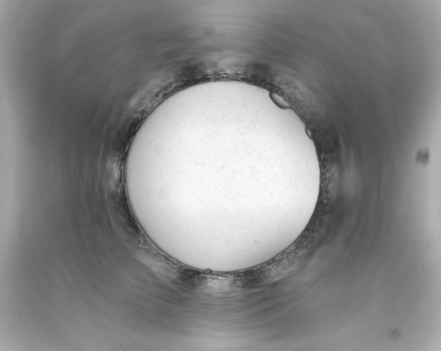 X0000093380709200711011250