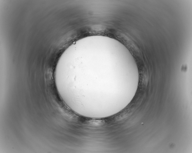 X0000093380711200711011250