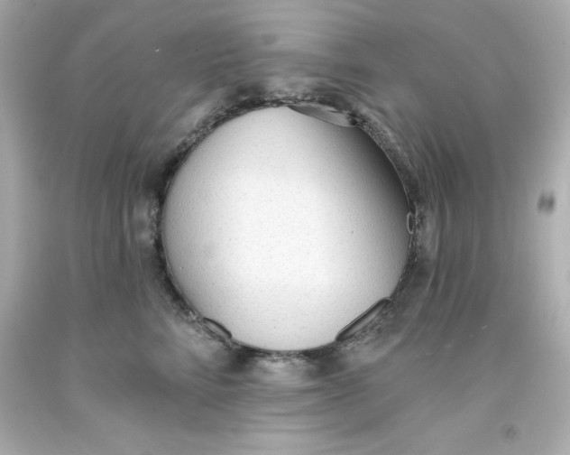 X0000093380712200711011250