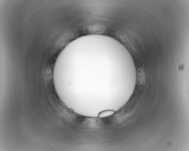 X0000093380713200711011250