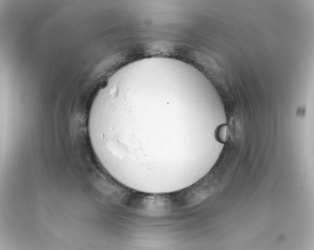 X0000093380714200711011250