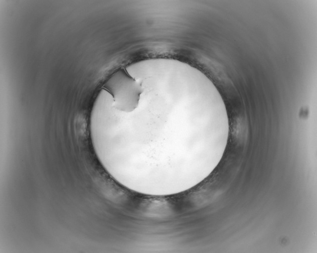 X0000093380715200711011250