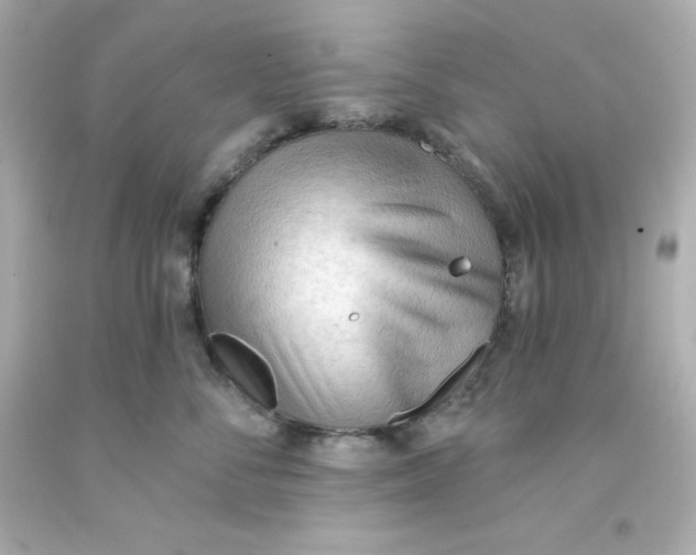 X0000093380716200711011250