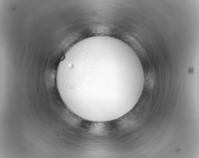 X0000093380717200711011250