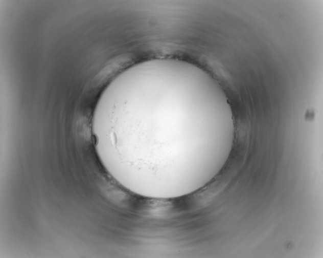 X0000093380719200711011250