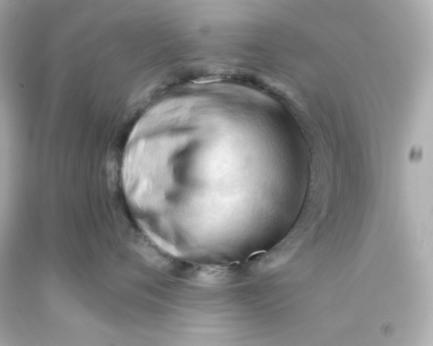 X0000093380720200711011250