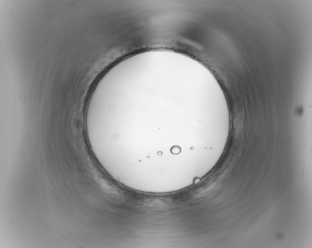 X0000093380721200711011249