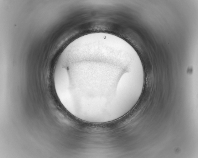 X0000093380722200711011249