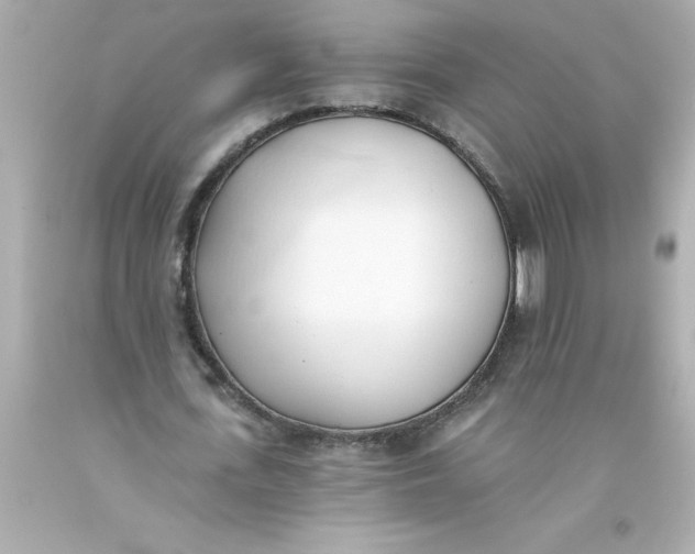 X0000093380723200711011249