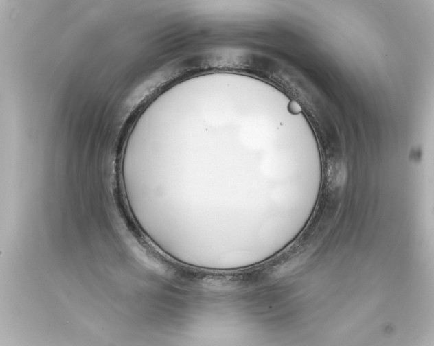 X0000093380725200711011249