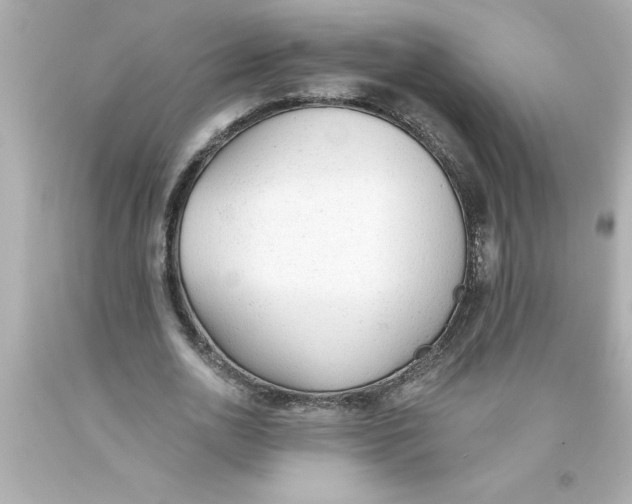 X0000093380726200711011249