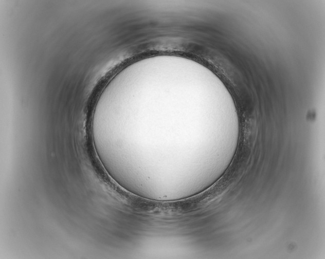 X0000093380727200711011249