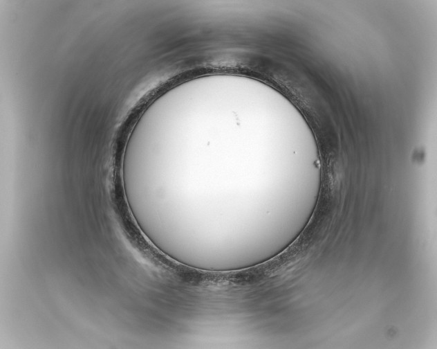 X0000093380728200711011249