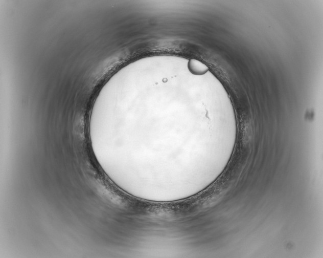 X0000093380729200711011249