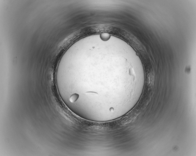 X0000093380733200711011249