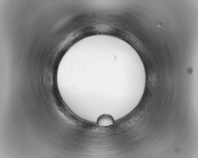 X0000093380734200711011249