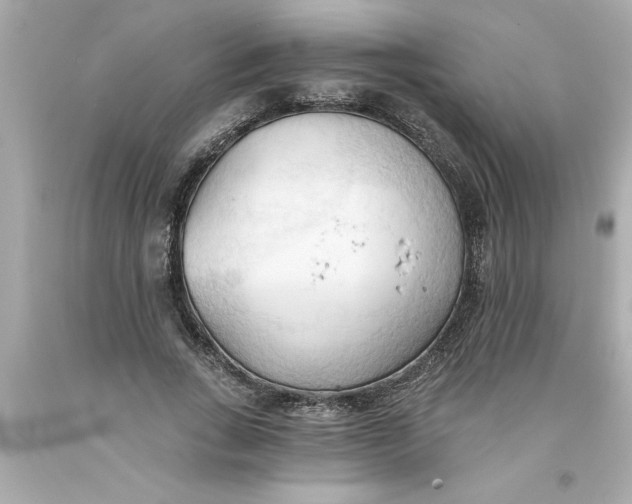 X0000093380735200711011249