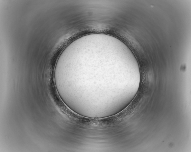 X0000093380736200711011249