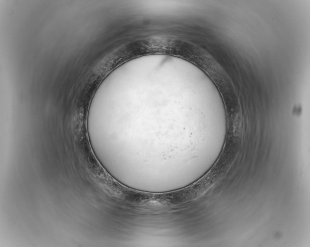 X0000093380737200711011249