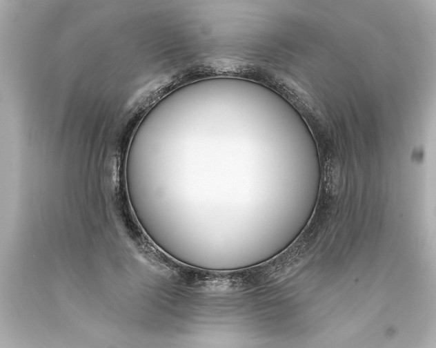 X0000093380740200711011249