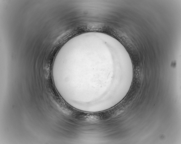 X0000093380741200711011249