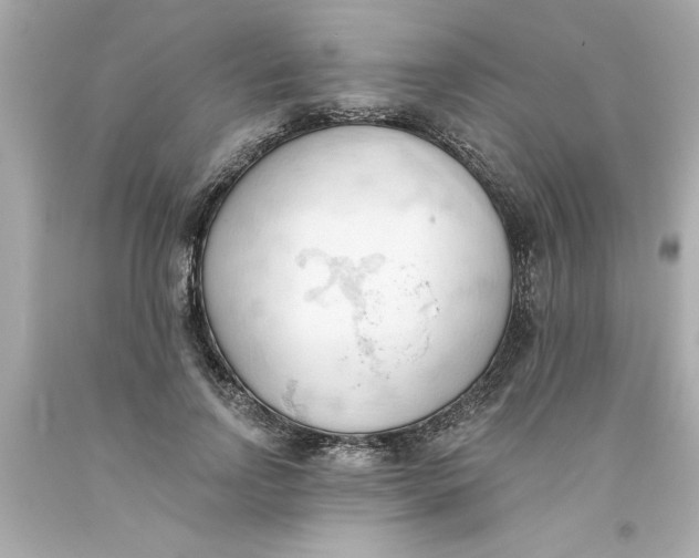 X0000093380742200711011249