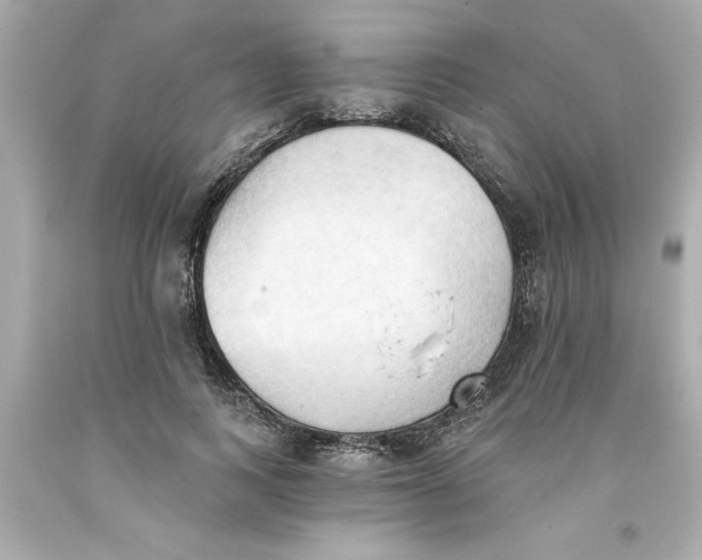 X0000093380743200711011249