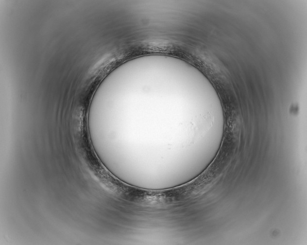 X0000093380744200711011249