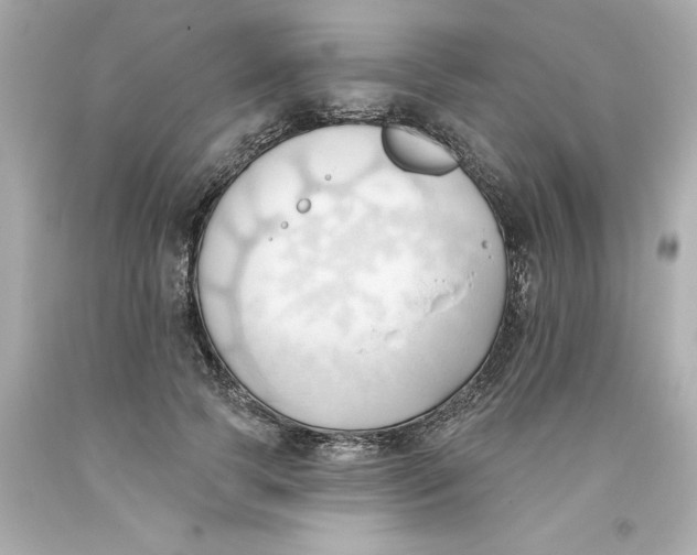 X0000093380745200711011249