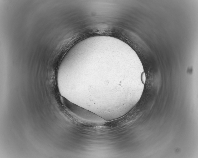 X0000093380748200711011249