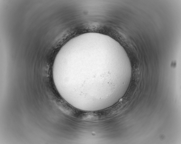 X0000093380750200711011249