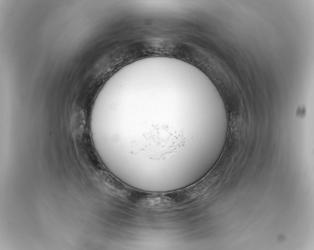 X0000093380752200711011249