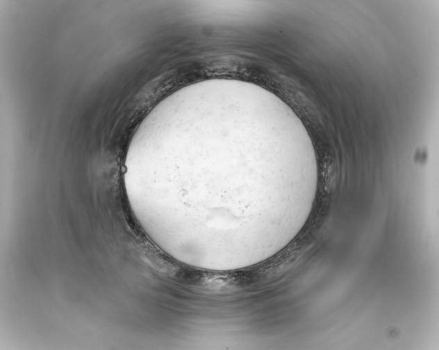 X0000093380753200711011249