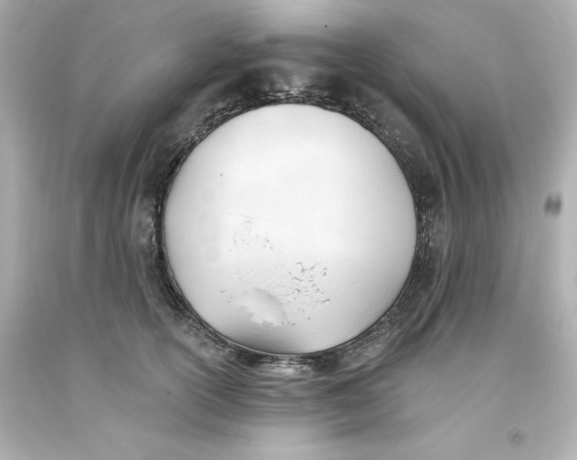 X0000093380754200711011249