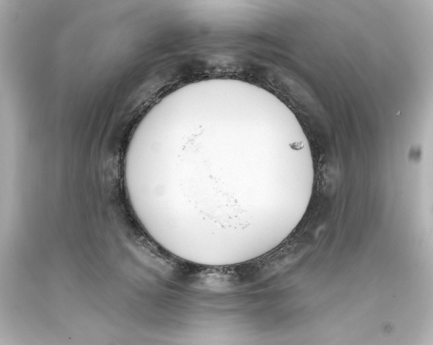 X0000093380756200711011249