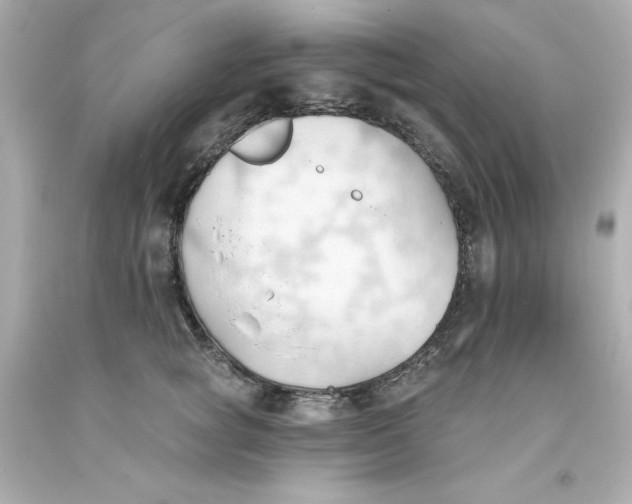 X0000093380757200711011249