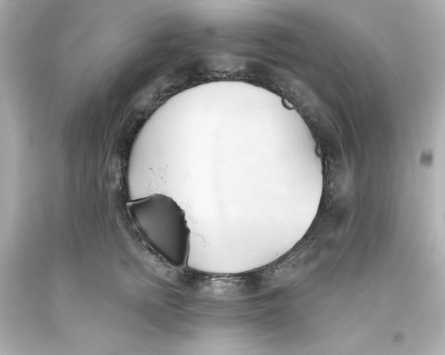 X0000093380758200711011249