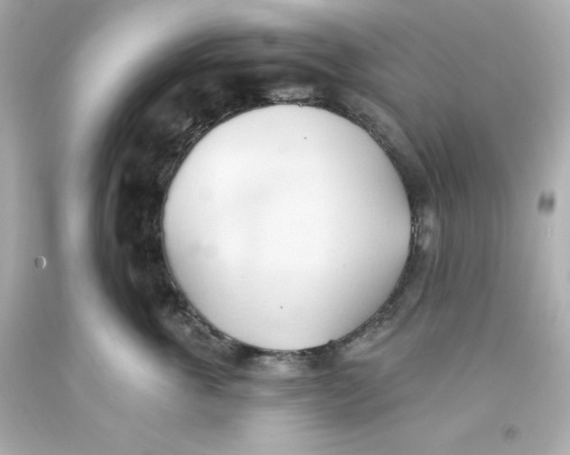 X0000093380763200711011250