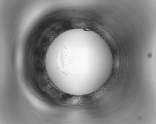 X0000093380764200711011250