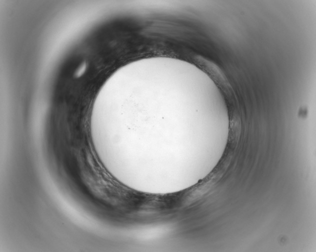 X0000093380765200711011250