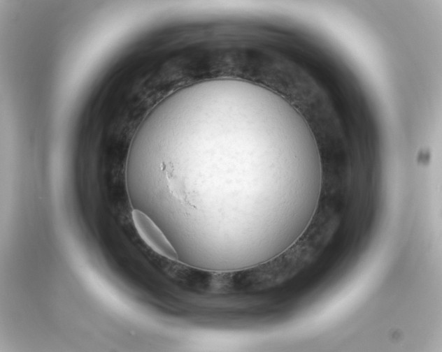 X0000093380766200711011250